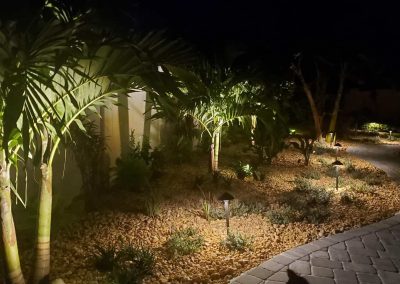 Landscape Lighting Backyard