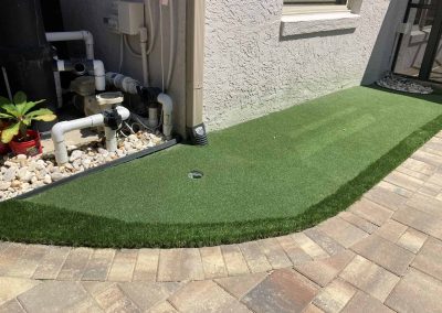 Small Putting Green With Turf Fringe